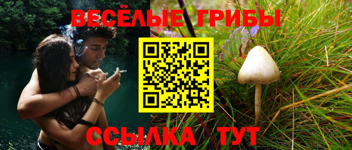 Псилоцибиновые грибы прущие грибы Обнинск