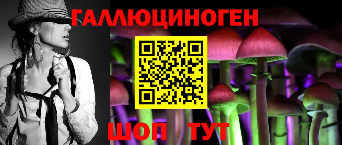 Галлюциногенные грибы Psilocybe  Вход с VPN  Псилоцибиновые грибы Psilocybe  Обнинск 